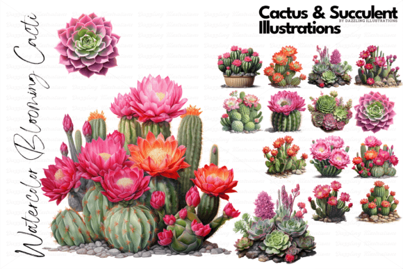 Download Cactus and Succulent Illustrations - Cactus Collection