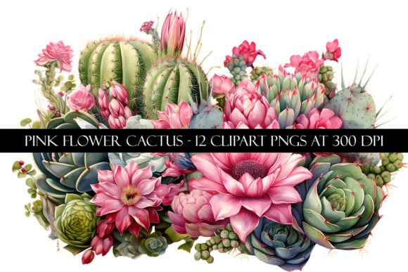 Download Pink Flower Cactus Clipart - Cactus Collection
