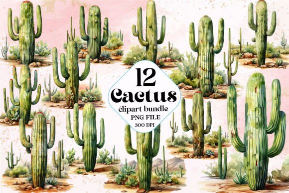 Download Boho Watercolor Cactus Clipart - Cactus Collection
